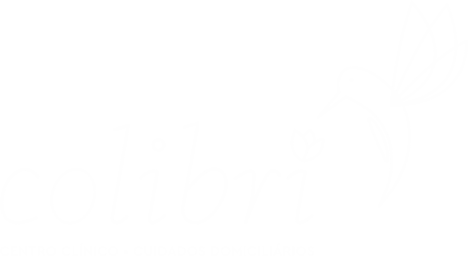 Centro Colibri