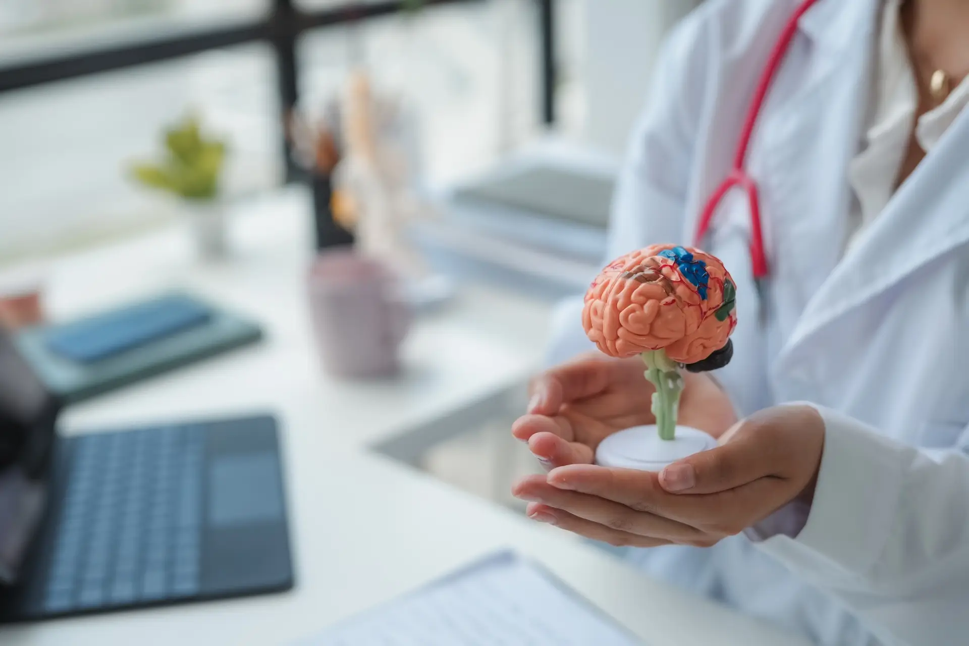 Doctor holding anatomical model of human brain for neurological exam
